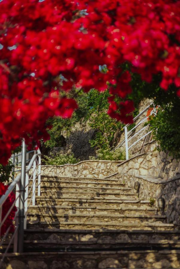Sea Mansion Lefkada Apartment นิเกียนา ภายนอก รูปภาพ