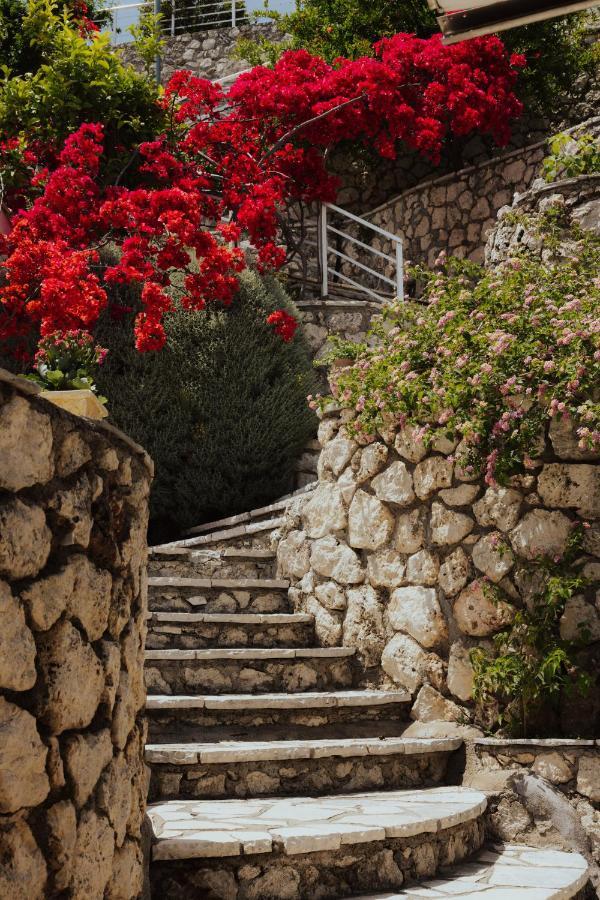Sea Mansion Lefkada Apartment นิเกียนา ภายนอก รูปภาพ